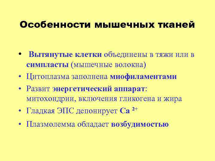 Особенности мышечных тканей • Вытянутые клетки объединены в тяжи или в симпласты (мышечные волокна)
