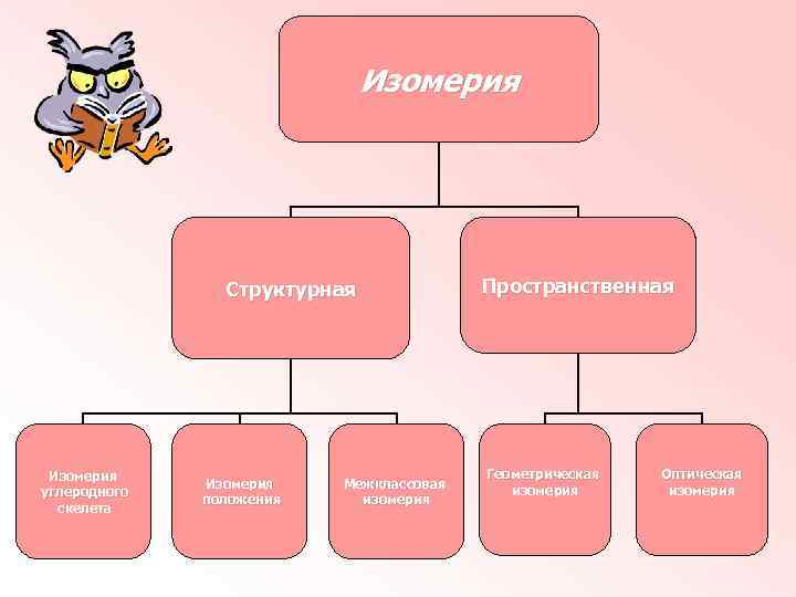 Изомерия Структурная Изомерия углеродного скелета Изомерия положения Межклассовая изомерия Пространственная Геометрическая изомерия Оптическая изомерия