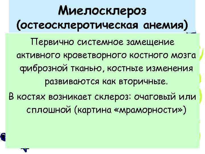 Миелосклероз (остеосклеротическая анемия) Первично системное замещение активного кроветворного костного мозга фиброзной тканью, костные изменения
