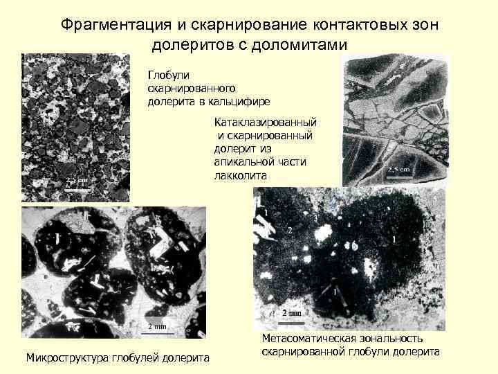 Фрагментация и скарнирование контактовых зон долеритов с доломитами Глобули скарнированного долерита в кальцифире Катаклазированный