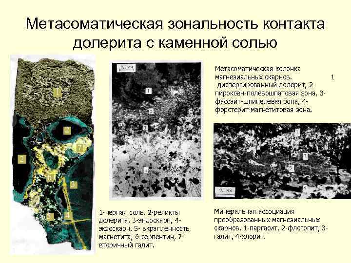 Метасоматическая зональность контакта долерита с каменной солью Метасоматическая колонка магнезиальных скарнов. 1 -диспергированный долерит,