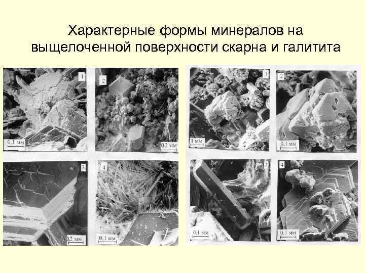 Характерные формы минералов на выщелоченной поверхности скарна и галитита 
