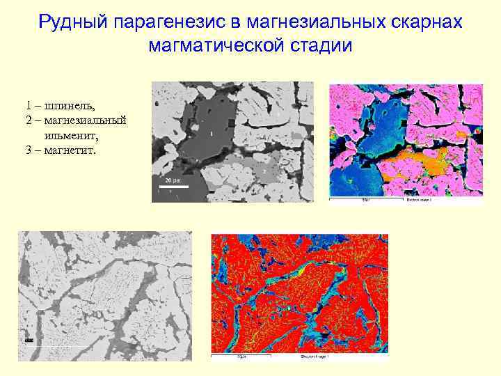 Рудный парагенезис в магнезиальных скарнах магматической стадии 1 – шпинель, 2 – магнезиальный ильменит,