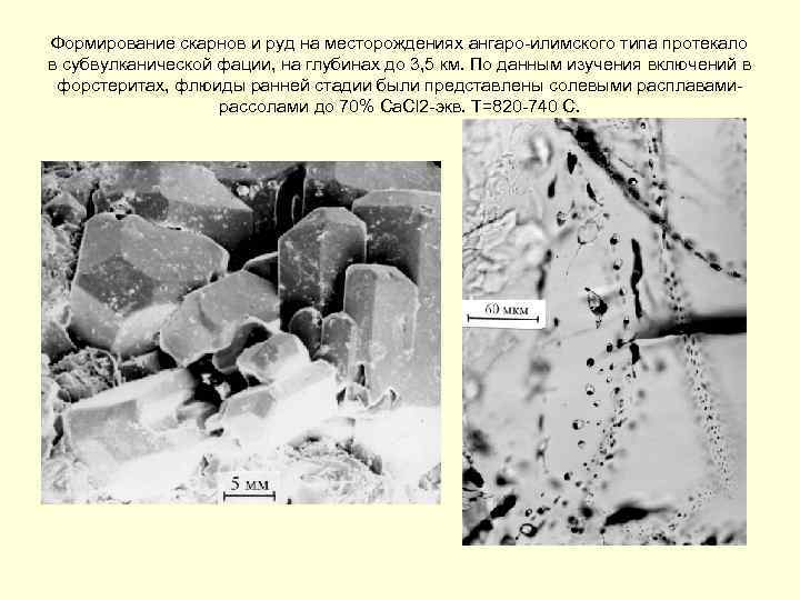 Формирование скарнов и руд на месторождениях ангаро-илимского типа протекало в субвулканической фации, на глубинах