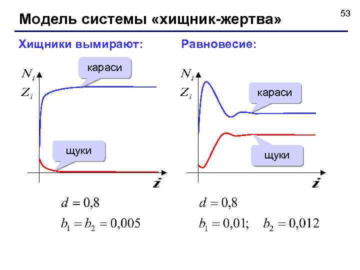 Модель системы «хищник-жертва» Хищники вымирают: Равновесие: караси щуки 53 