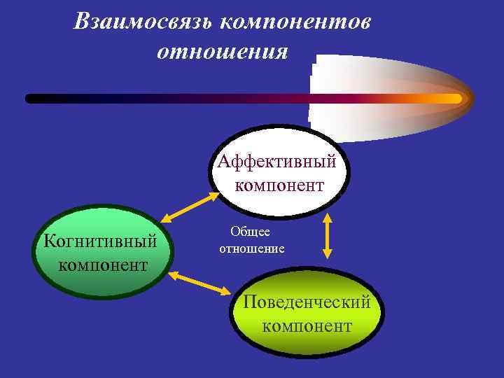 Взаимосвязь компонентов отношения Аффективный компонент Когнитивный компонент Общее отношение Поведенческий компонент 