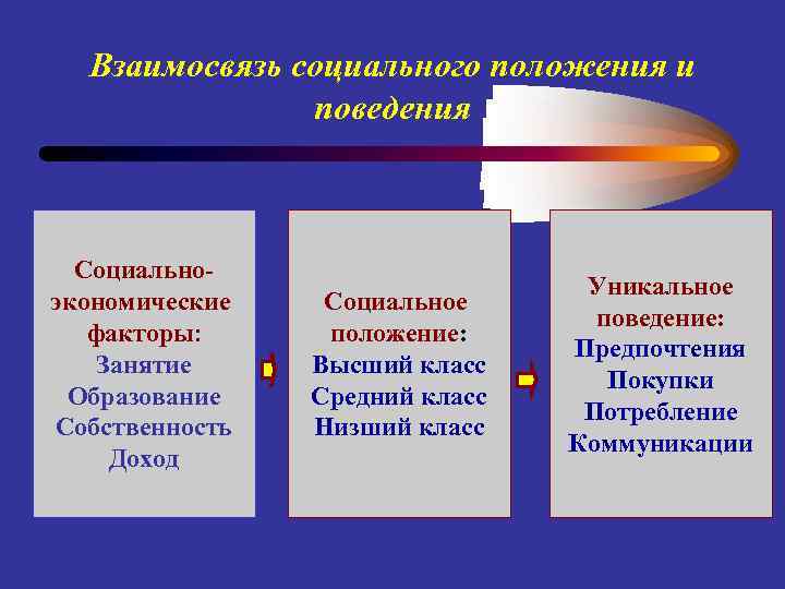 Взаимосвязь социального положения и поведения Социальноэкономические факторы: Занятие Образование Собственность Доход Социальное положение: Высший