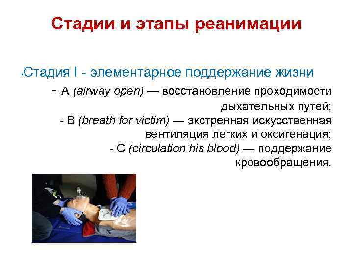 Стадии и этапы реанимации • Стадия I - элементарное поддержание жизни - A (airway