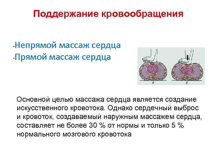 Поддержание кровообращения Непрямой массаж сердца • Прямой массаж сердца • Основной целью массажа сердца