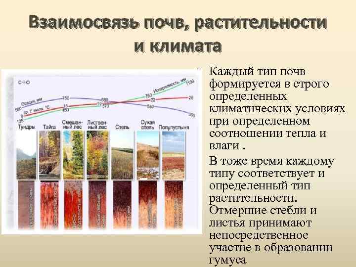 Карта плодородия почв