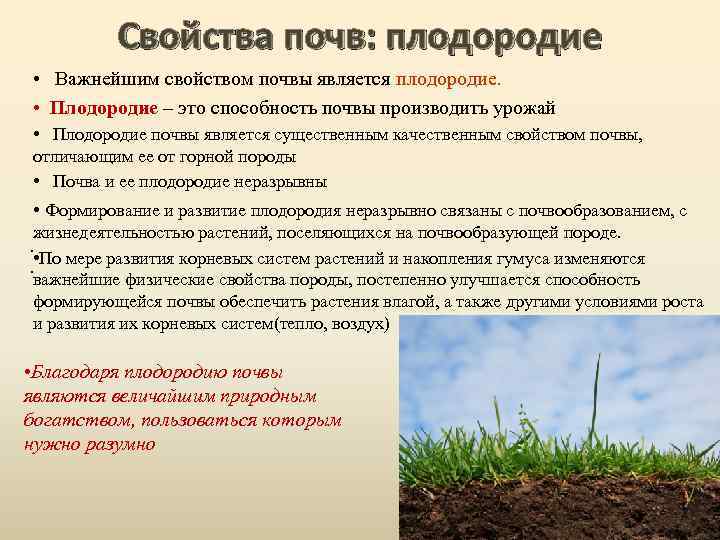 пути сохранения и повышения плодородия почвы