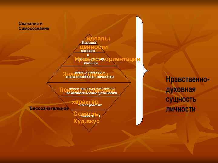 идеалы ценности ценност Идеалы и знания, умения, навыки Нрав-эст. ориентации воля, Знания, характер -нормы