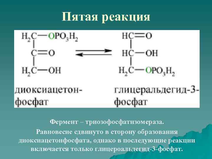 Гидролазы реакции. Диоксиацетон фосфат. Синтез диоксиацетонфосфата. Глицеральдегид 3 фосфат в дигидроксиацетонфосфат. Глицеральдегид 3 фосфат формула.