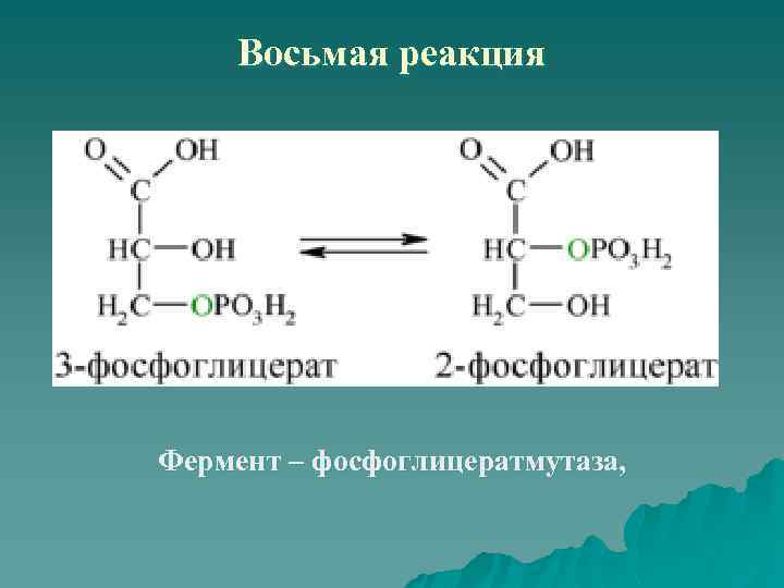 Восьмая реакция Фермент – фосфоглицератмутаза, 