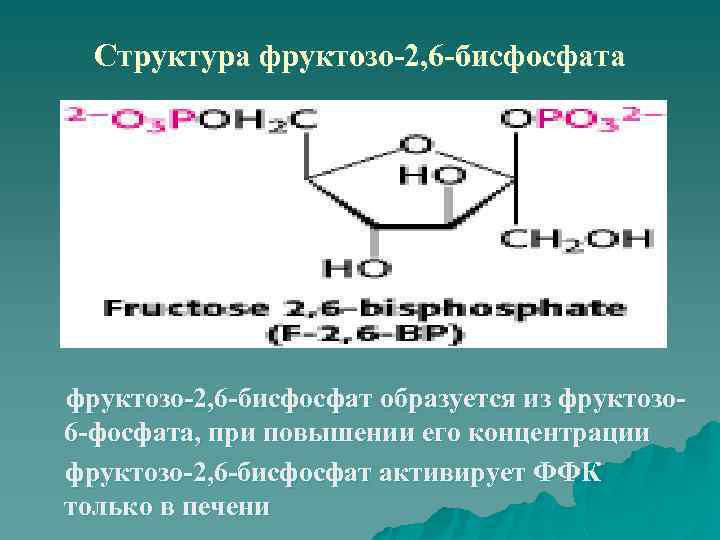 Фруктозо 6 дифосфат. Фруктозо 2 6 дифосфат. Фруктоза 2 6 дифосфат. Фруктозо 26 бисфосфат. Фруктозо 2 6 дифосфат активирует фермент.