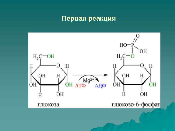 Первая реакция 