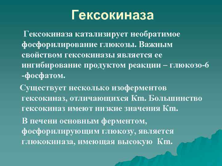 Гексокиназа катализирует необратимое фосфорилирование глюкозы. Важным свойством гексокиназы является ее ингибирование продуктом реакции –