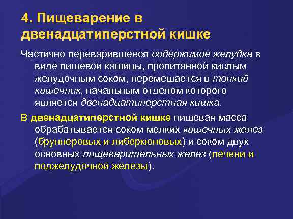 4. Пищеварение в двенадцатиперстной кишке Частично переварившееся содержимое желудка в виде пищевой кашицы, пропитанной
