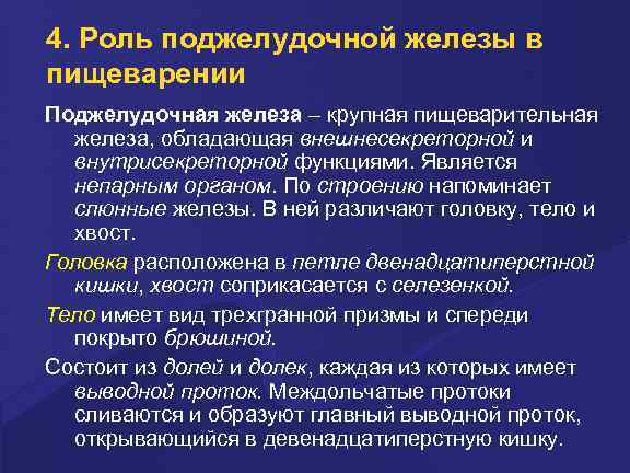 4. Роль поджелудочной железы в пищеварении Поджелудочная железа – крупная пищеварительная железа, обладающая внешнесекреторной