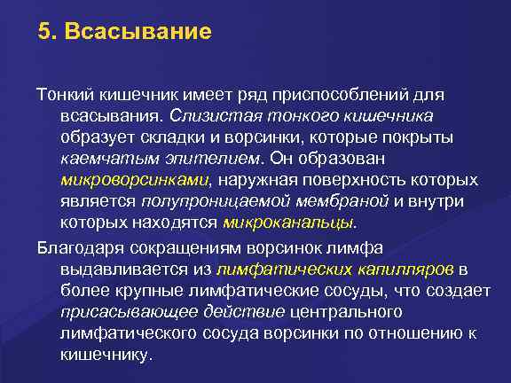 5. Всасывание Тонкий кишечник имеет ряд приспособлений для всасывания. Слизистая тонкого кишечника образует складки