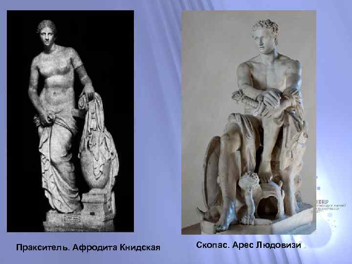 Пракситель. Афродита Книдская Скопас. Арес Людовизи 