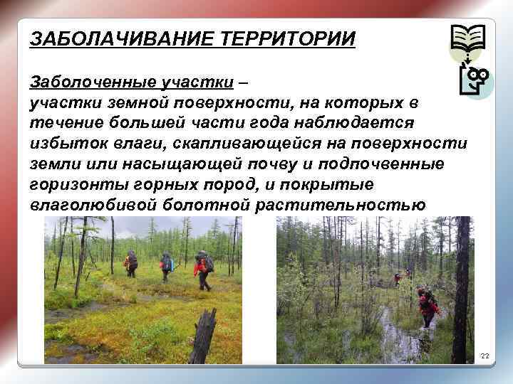 ЗАБОЛАЧИВАНИЕ ТЕРРИТОРИИ Заболоченные участки – участки земной поверхности, на которых в течение большей части