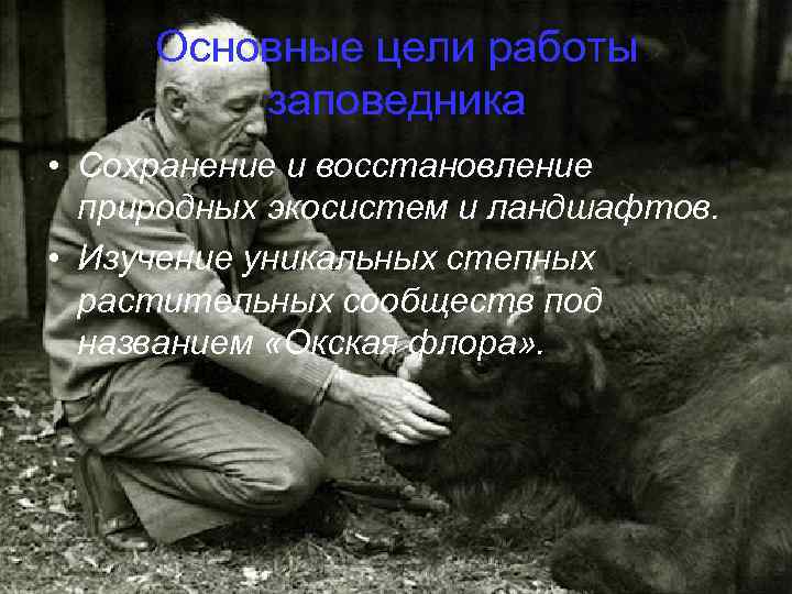 Основные цели работы заповедника • Сохранение и восстановление природных экосистем и ландшафтов. • Изучение