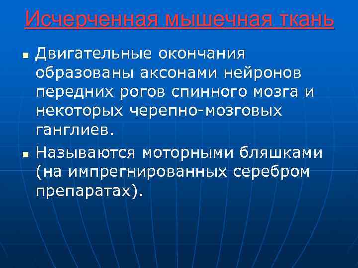Исчерченная мышечная ткань n n Двигательные окончания образованы аксонами нейронов передних рогов спинного мозга
