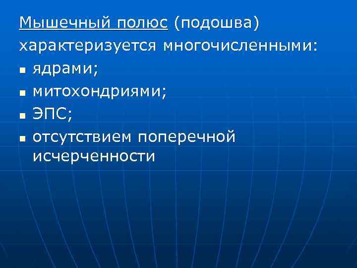 Мышечный полюс (подошва) характеризуется многочисленными: n ядрами; n митохондриями; n ЭПС; n отсутствием поперечной