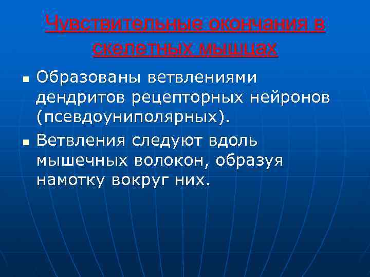 Чувствительные окончания в скелетных мышцах n n Образованы ветвлениями дендритов рецепторных нейронов (псевдоуниполярных). Ветвления