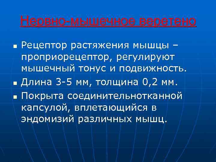 Нервно-мышечное веретено n n n Рецептор растяжения мышцы – проприорецептор, регулируют мышечный тонус и