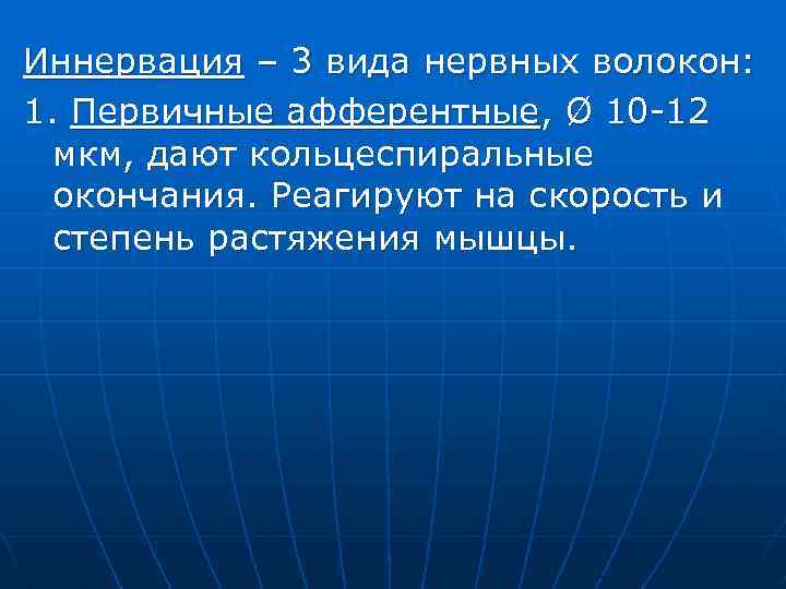 Иннервация – 3 вида нервных волокон: 1. Первичные афферентные, Ø 10 -12 мкм, дают