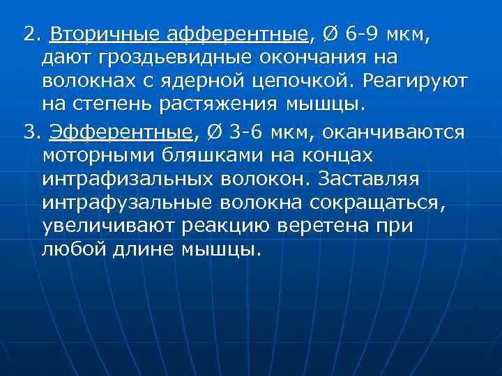 2. Вторичные афферентные, Ø 6 -9 мкм, дают гроздьевидные окончания на волокнах с ядерной