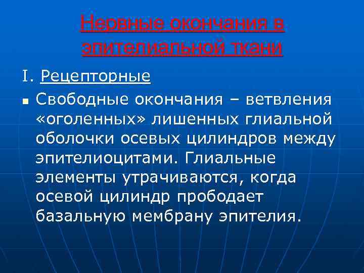 Нервные окончания в эпителиальной ткани I. Рецепторные n Свободные окончания – ветвления «оголенных» лишенных