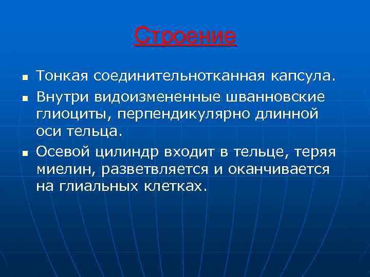 Строение n n n Тонкая соединительнотканная капсула. Внутри видоизмененные шванновские глиоциты, перпендикулярно длинной оси