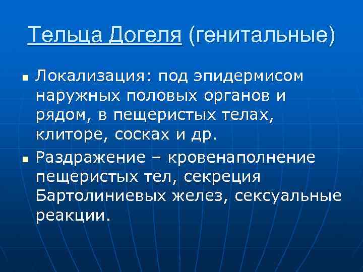 Тельца Догеля (генитальные) n n Локализация: под эпидермисом наружных половых органов и рядом, в