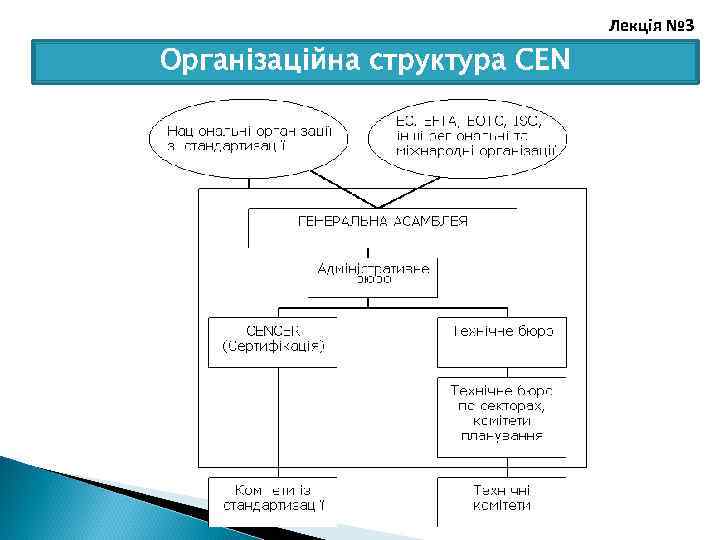 Лекція № 3 Організаційна структура СЕN 