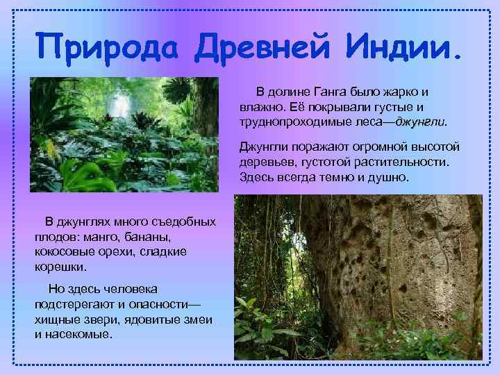 Природа Древней Индии. В долине Ганга было жарко и влажно. Её покрывали густые и