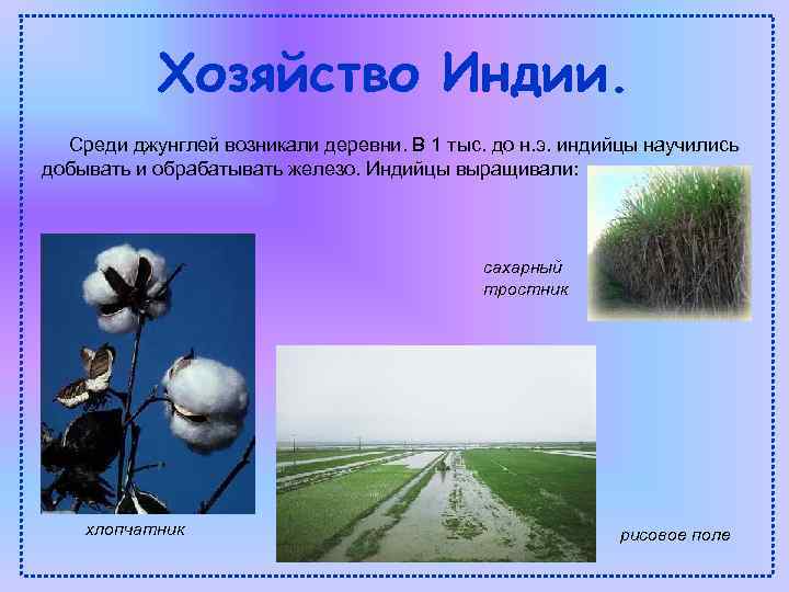Хозяйство Индии. Среди джунглей возникали деревни. В 1 тыс. до н. э. индийцы научились