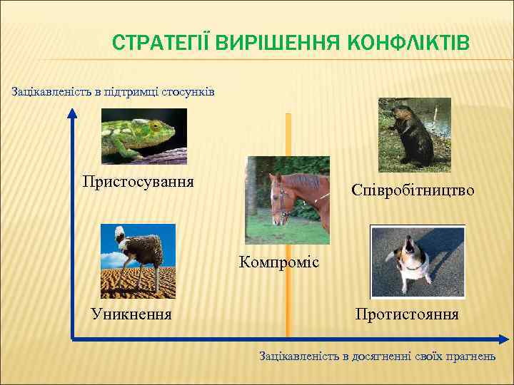 СТРАТЕГІЇ ВИРІШЕННЯ КОНФЛІКТІВ Зацікавленість в підтримці стосунків Пристосування Співробітництво Компроміс Уникнення Протистояння Зацікавленість в
