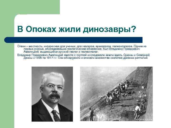 В Опоках жили динозавры? Опоки – местность, интересная для ученых: для геологов, археологов, палеонтологов.