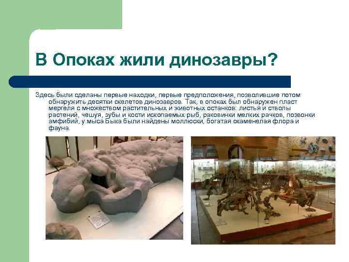 В Опоках жили динозавры? Здесь были сделаны первые находки, первые предположения, позволившие потом обнаружить