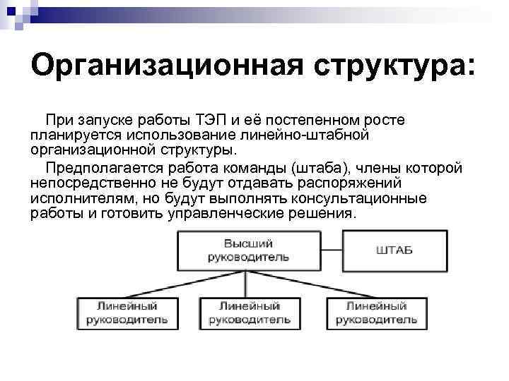 Организационная структура: При запуске работы ТЭП и её постепенном росте планируется использование линейно-штабной организационной