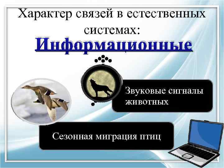Характер связей в естественных системах: Информационные Звуковые сигналы животных Сезонная миграция птиц 