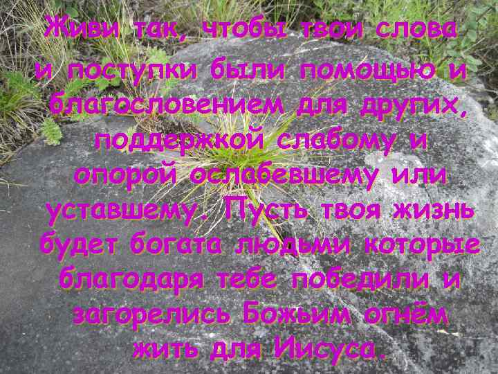 Живи так, чтобы твои слова и поступки были помощью и благословением для других, поддержкой