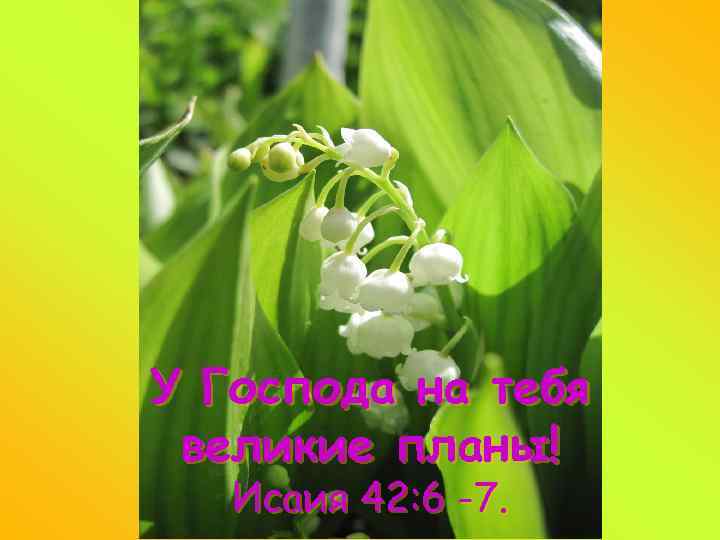 У Господа на тебя великие планы! Исаия 42: 6 -7. 