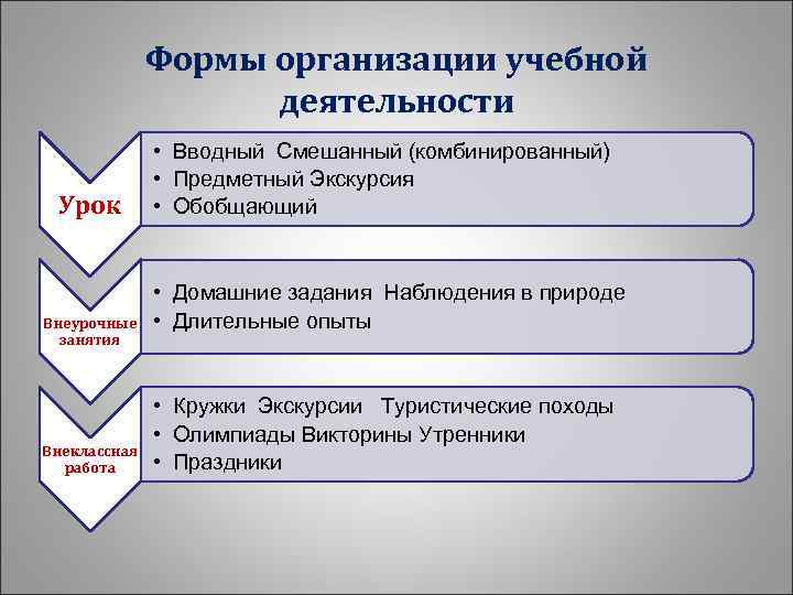 Формы учебной деятельности