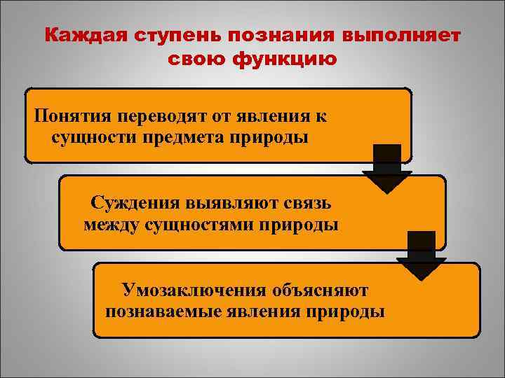 Каждая ступень познания выполняет свою функцию Понятия переводят от явления к сущности предмета природы