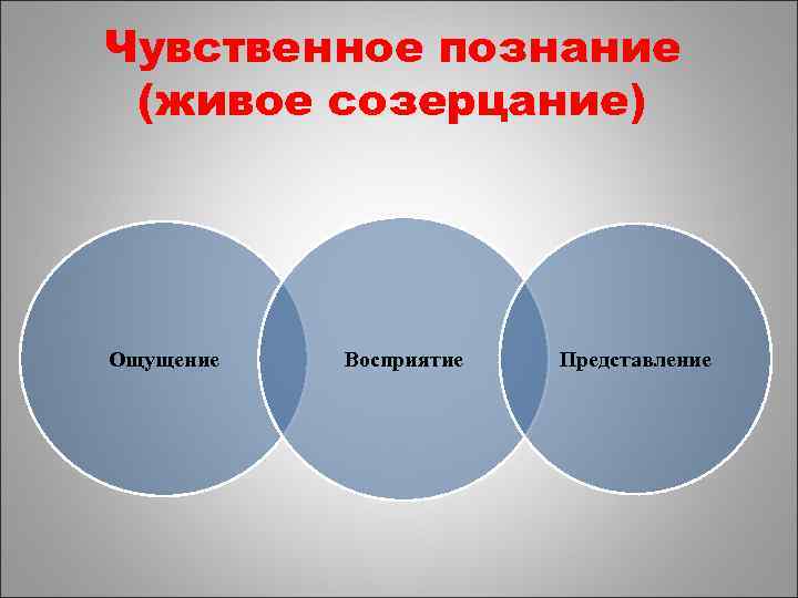 Формы познания ощущение понятие восприятие представление