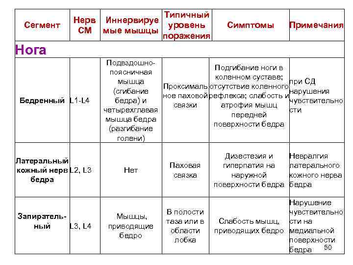Сегмент Нерв Иннервируе СМ мые мышцы Типичный уровень поражения Симптомы Примечания Нога Бедренный L